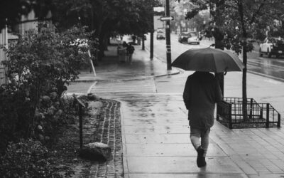 Do I Need Umbrella Insurance If I Already Have Home and Auto Insurance?